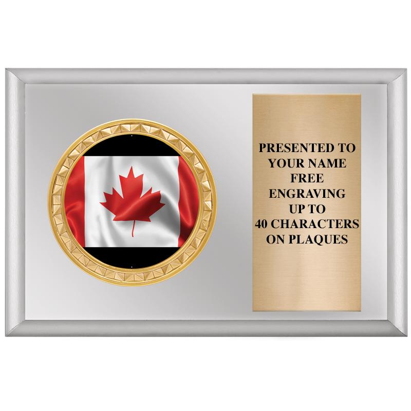 6" X 4" SILVER INSERT PLQ