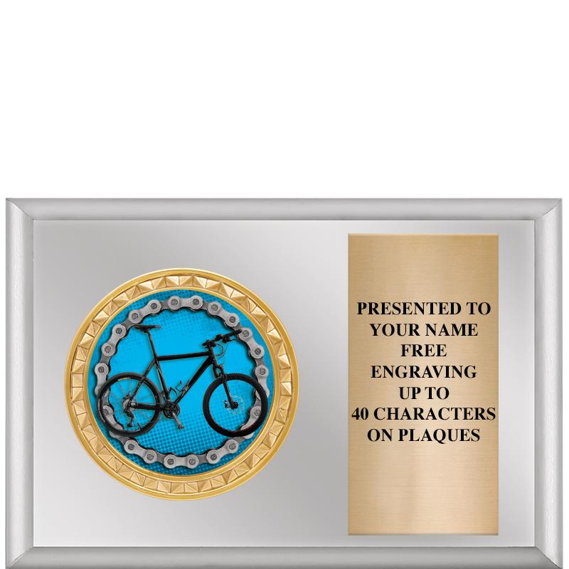 6" X 4" SILVER INSERT PLQ