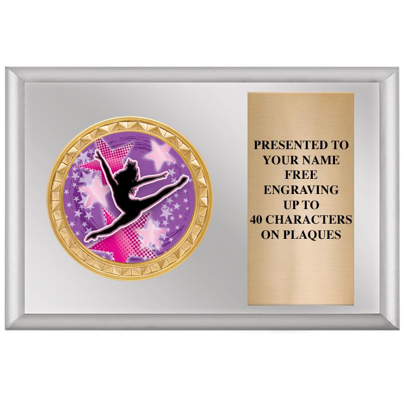 6" X 4" SILVER INSERT PLQ