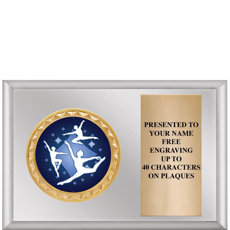 6" X 4" SILVER INSERT PLQ