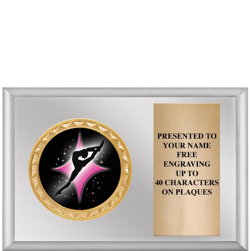 6" X 4" SILVER INSERT PLQ