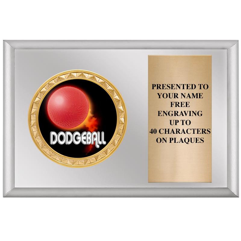 6" X 4" SILVER INSERT PLQ