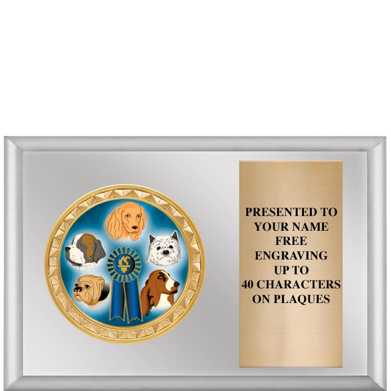 6" X 4" SILVER INSERT PLQ