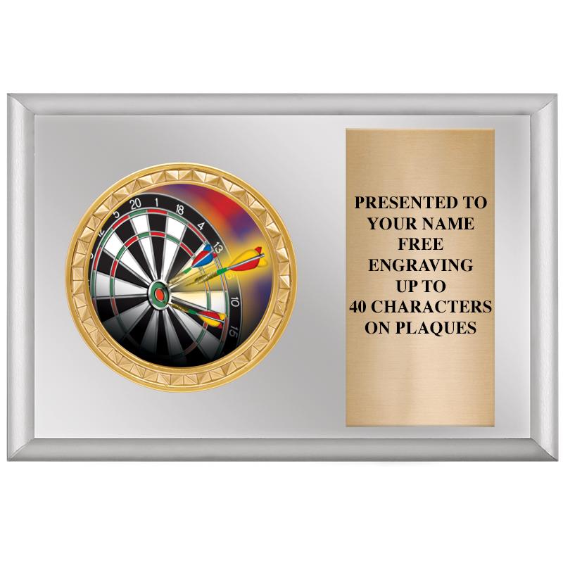 6" X 4" SILVER INSERT PLQ