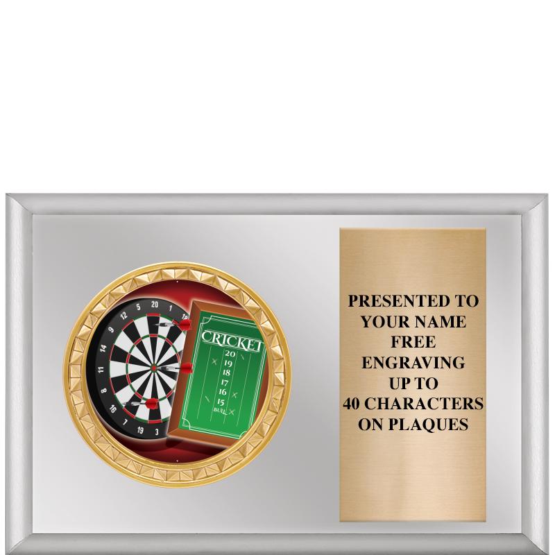 6" X 4" SILVER INSERT PLQ