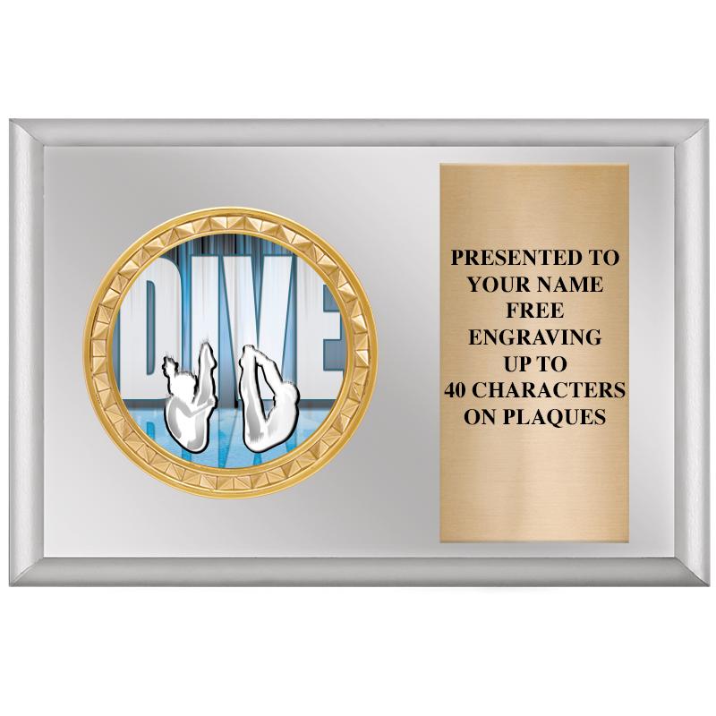 6" X 4" SILVER INSERT PLQ