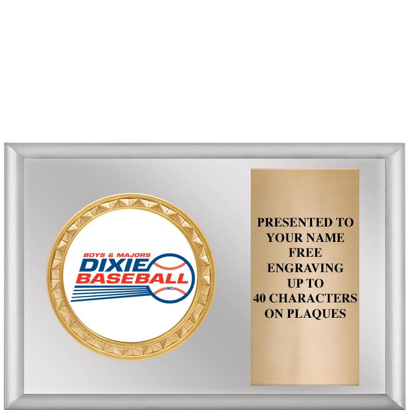 6" X 4" SILVER INSERT PLQ