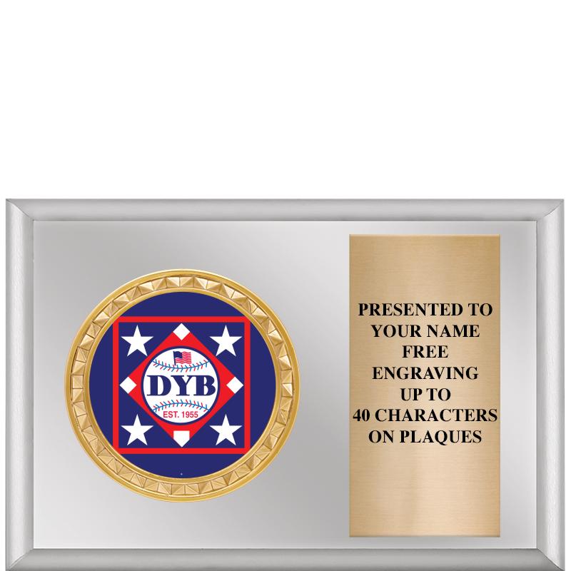 6" X 4" SILVER INSERT PLQ