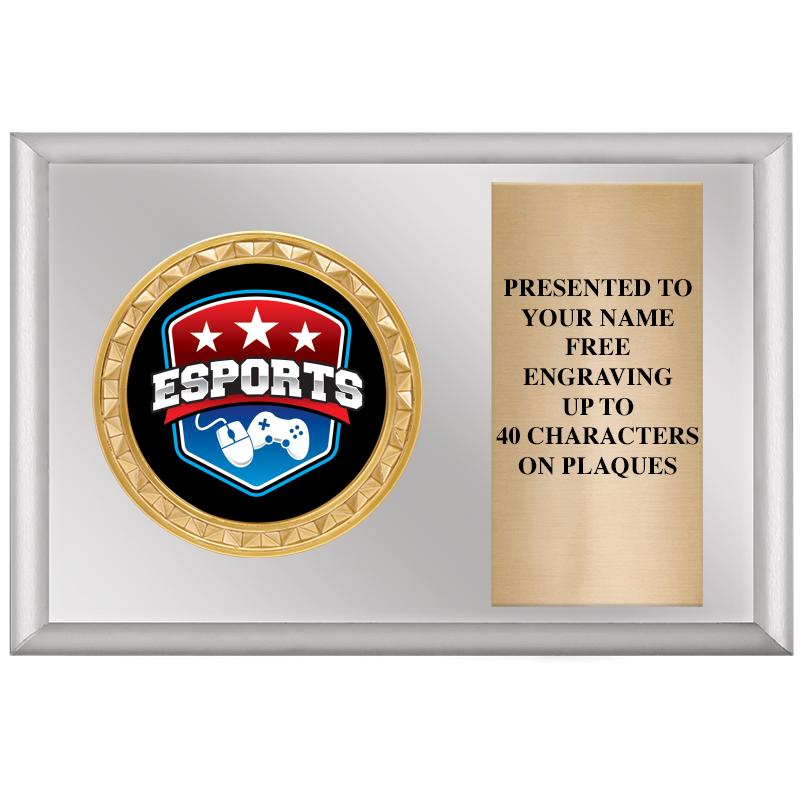 6" X 4" SILVER INSERT PLQ