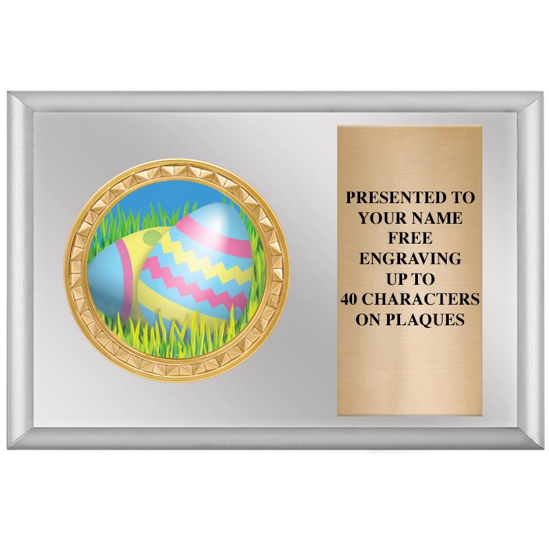 6" X 4" SILVER INSERT PLQ