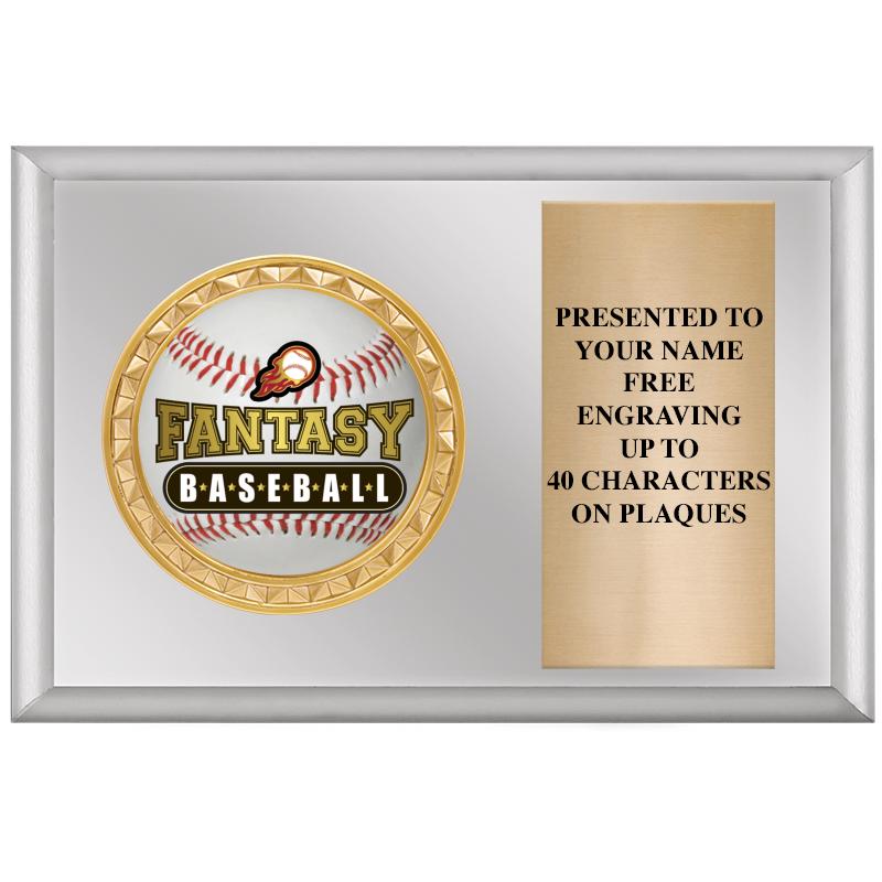 6" X 4" SILVER INSERT PLQ