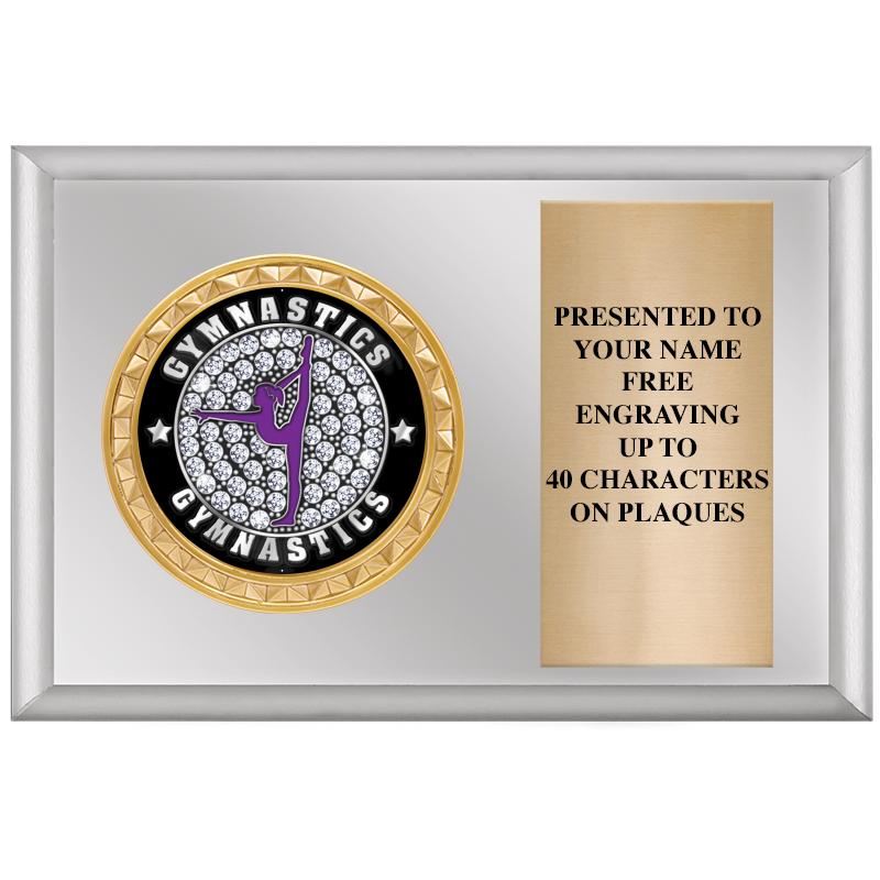 6" X 4" SILVER INSERT PLQ