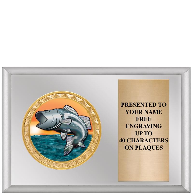 6" X 4" SILVER INSERT PLQ