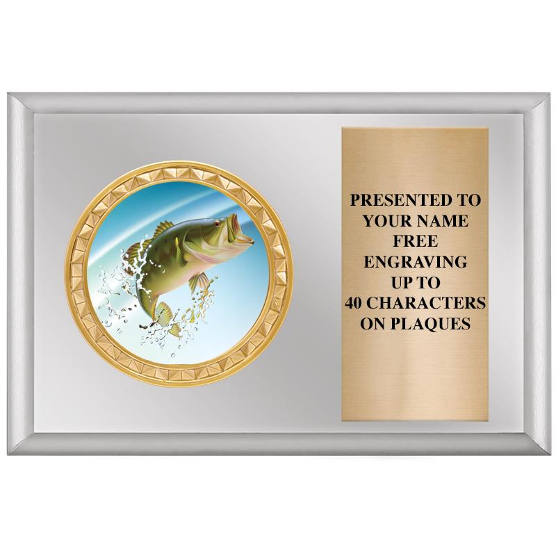 6" X 4" SILVER INSERT PLQ