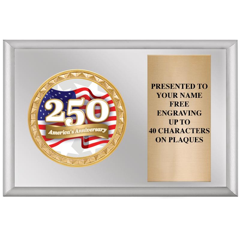 6" X 4" SILVER INSERT PLQ