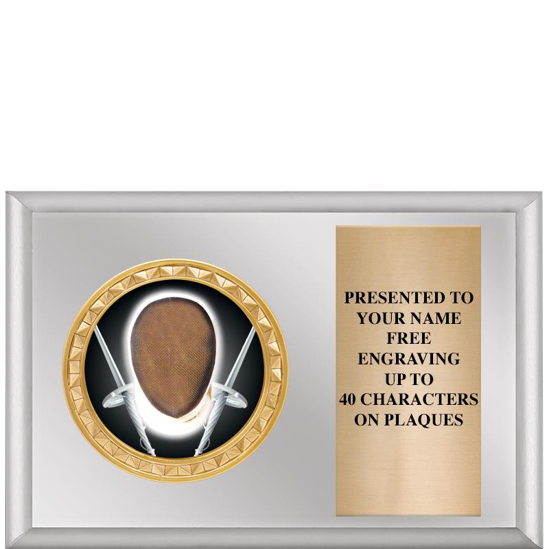 6" X 4" SILVER INSERT PLQ