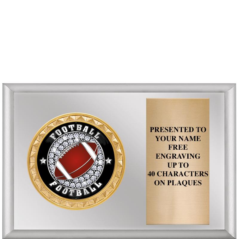 6" X 4" SILVER INSERT PLQ