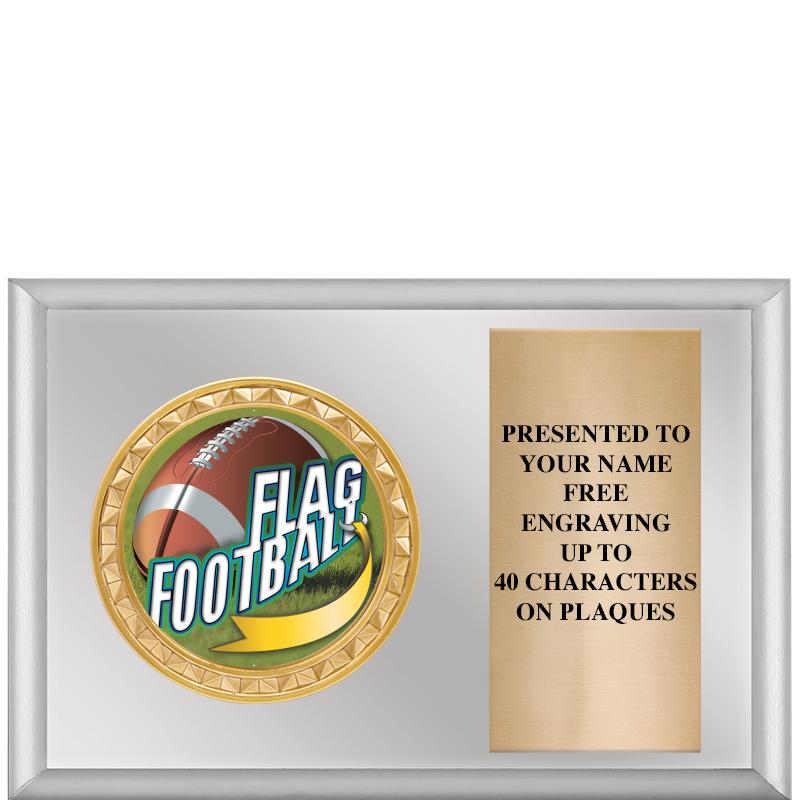 6" X 4" SILVER INSERT PLQ