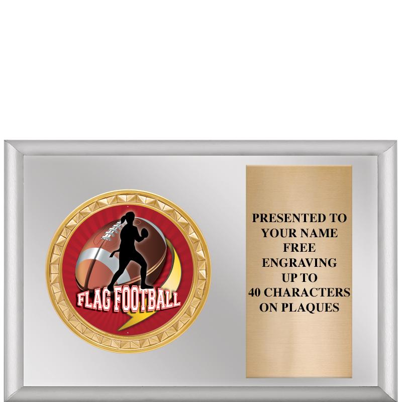 6" X 4" SILVER INSERT PLQ