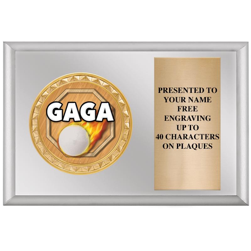 6" X 4" SILVER INSERT PLQ