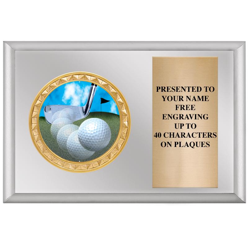 6" X 4" SILVER INSERT PLQ
