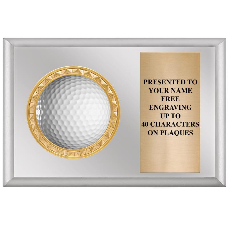6" X 4" SILVER INSERT PLQ