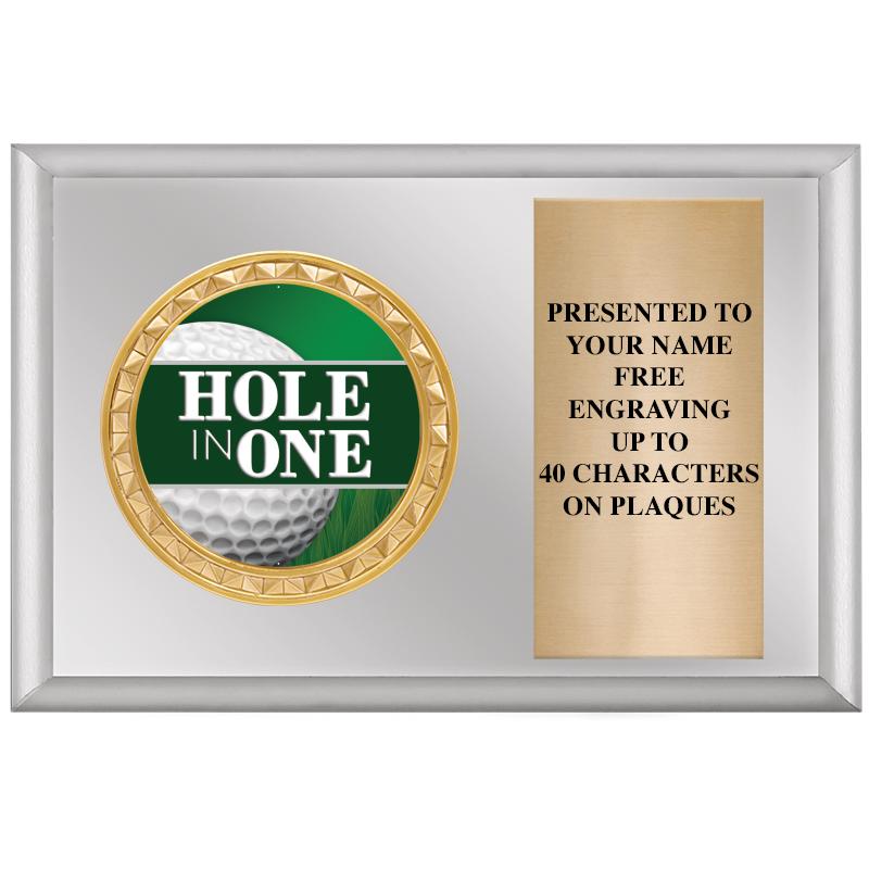 6" X 4" SILVER INSERT PLQ