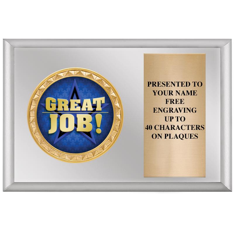 6" X 4" SILVER INSERT PLQ