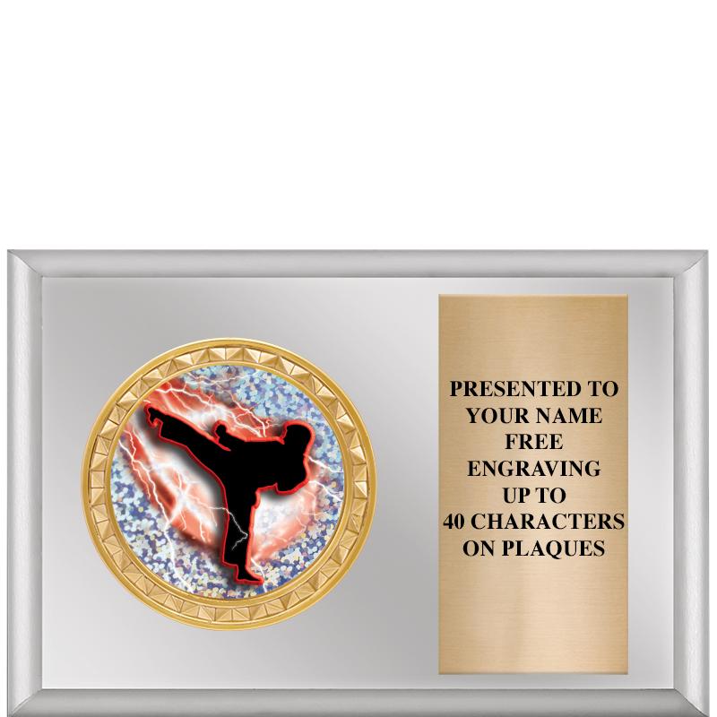 6" X 4" SILVER INSERT PLQ