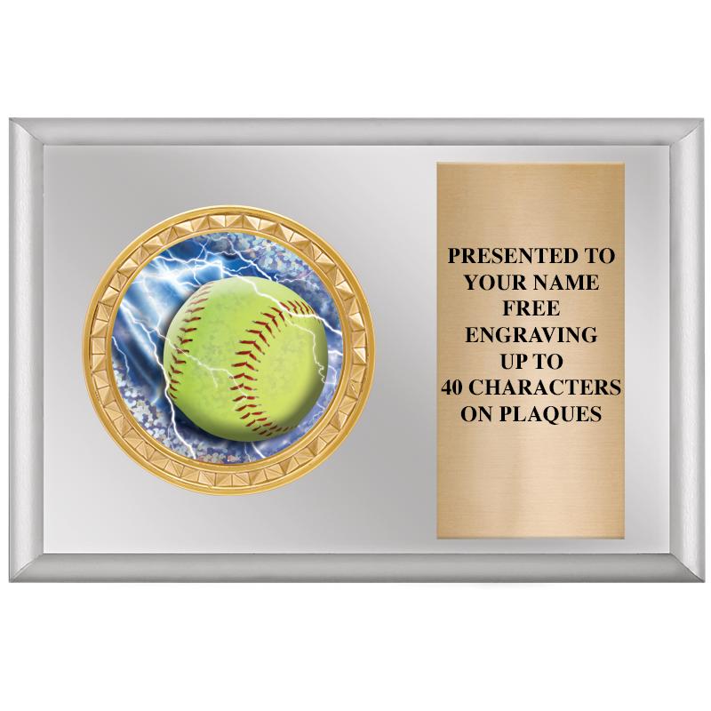 6" X 4" SILVER INSERT PLQ