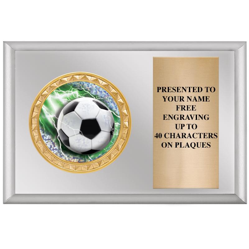 6" X 4" SILVER INSERT PLQ