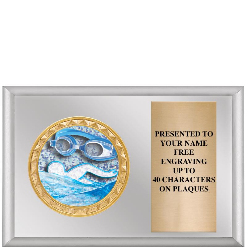 6" X 4" SILVER INSERT PLQ