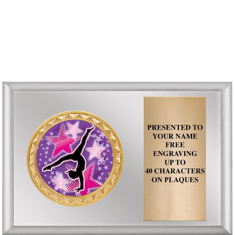 6" X 4" SILVER INSERT PLQ