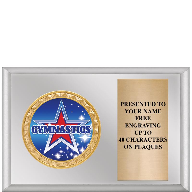 6" X 4" SILVER INSERT PLQ