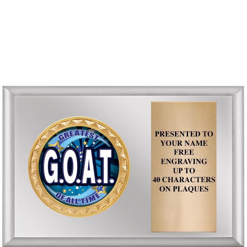 6" X 4" SILVER INSERT PLQ