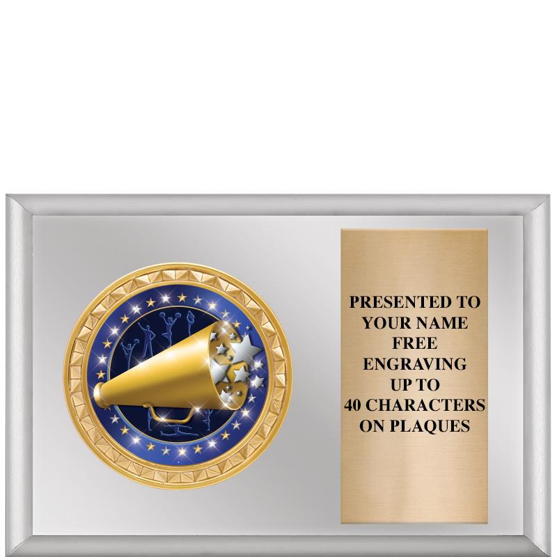 6" X 4" SILVER INSERT PLQ