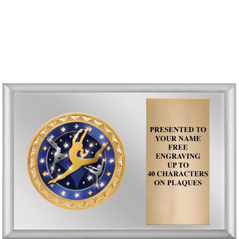 6" X 4" SILVER INSERT PLQ