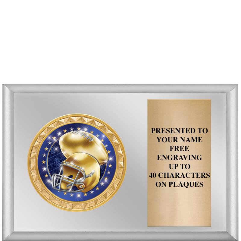 6" X 4" SILVER INSERT PLQ