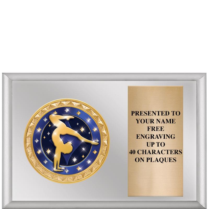 6" X 4" SILVER INSERT PLQ