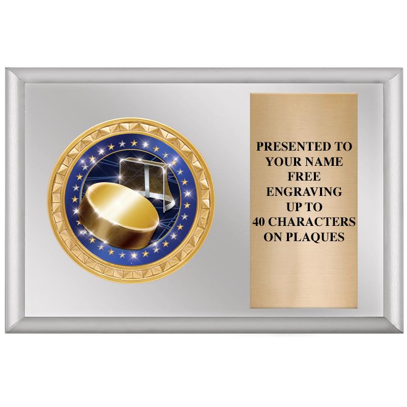 6" X 4" SILVER INSERT PLQ