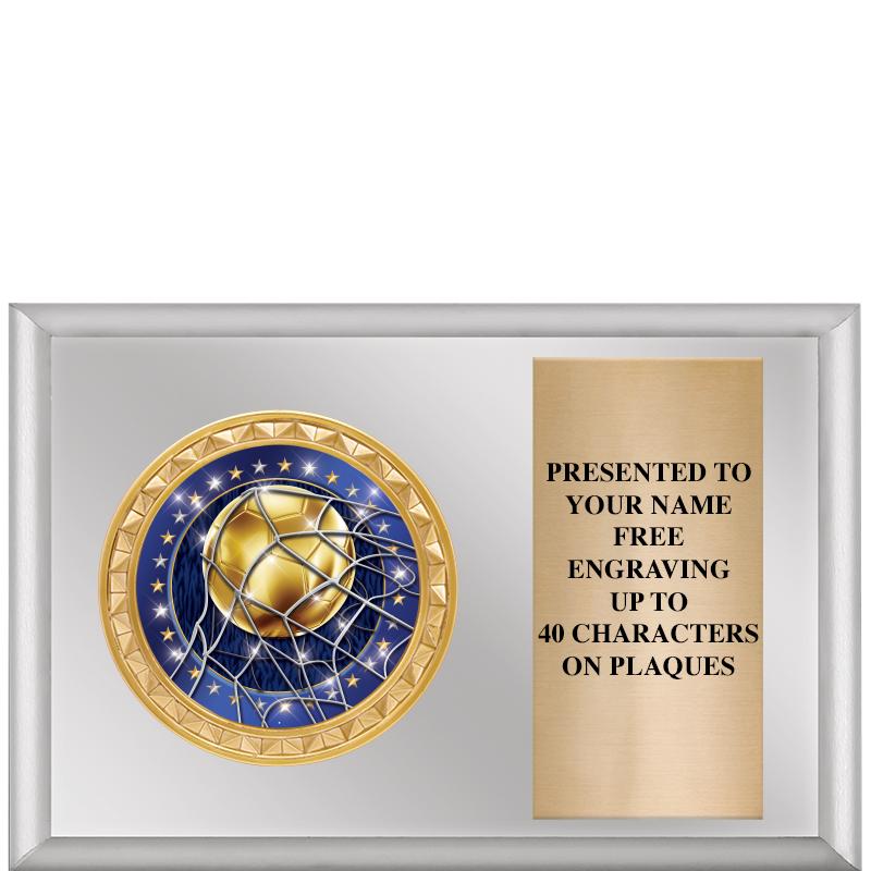 6" X 4" SILVER INSERT PLQ