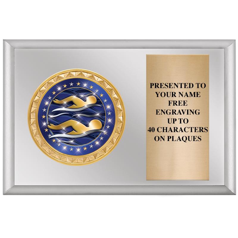 6" X 4" SILVER INSERT PLQ