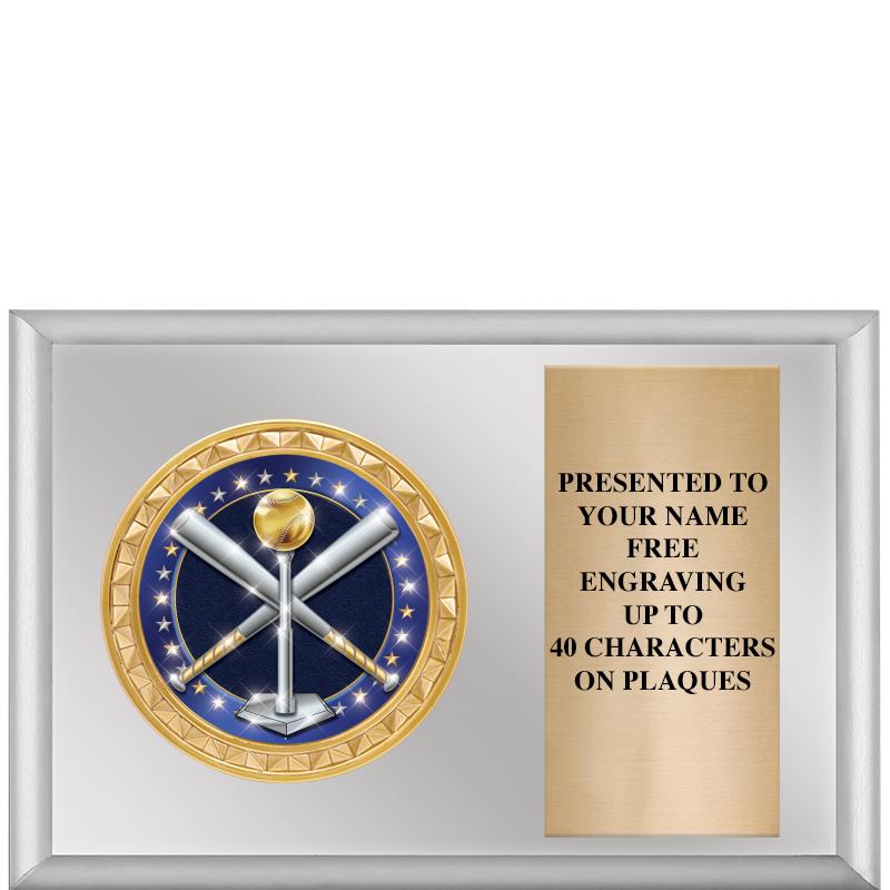 6" X 4" SILVER INSERT PLQ