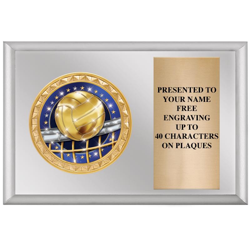 6" X 4" SILVER INSERT PLQ