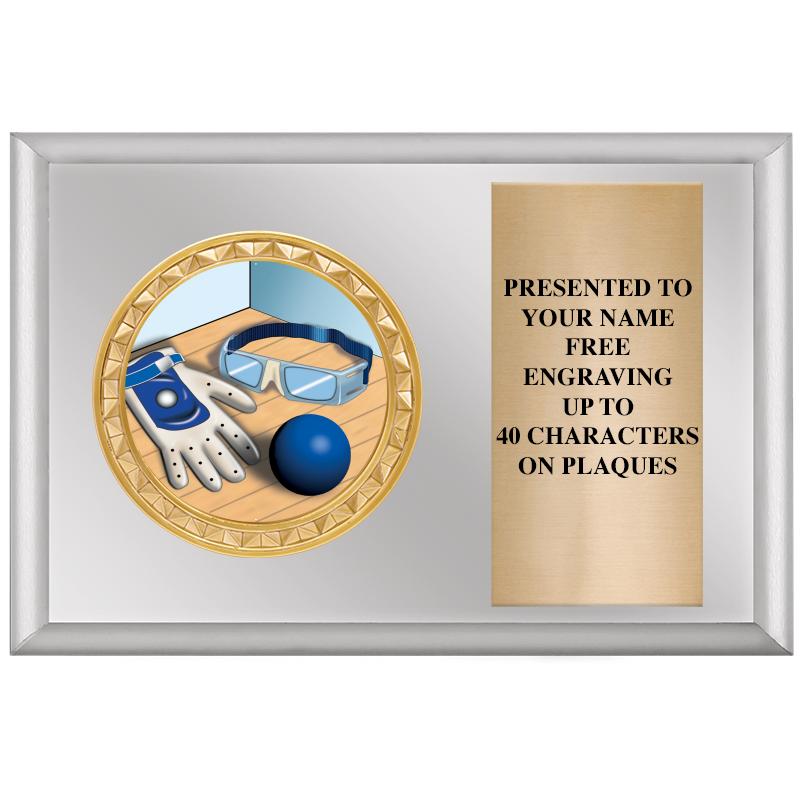 6" X 4" SILVER INSERT PLQ