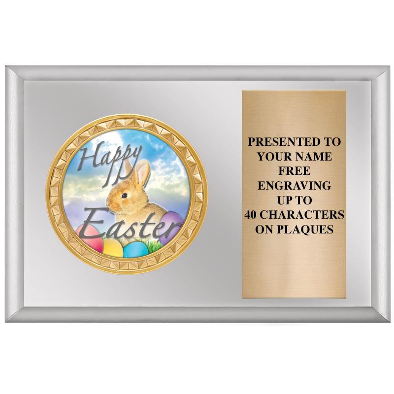 6" X 4" SILVER INSERT PLQ