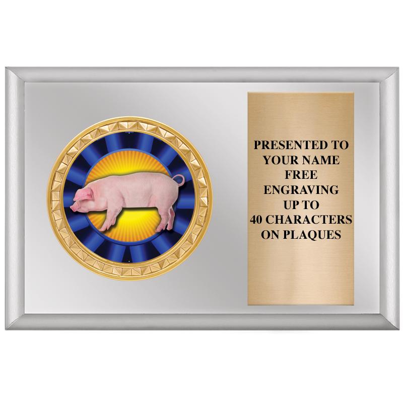 6" X 4" SILVER INSERT PLQ