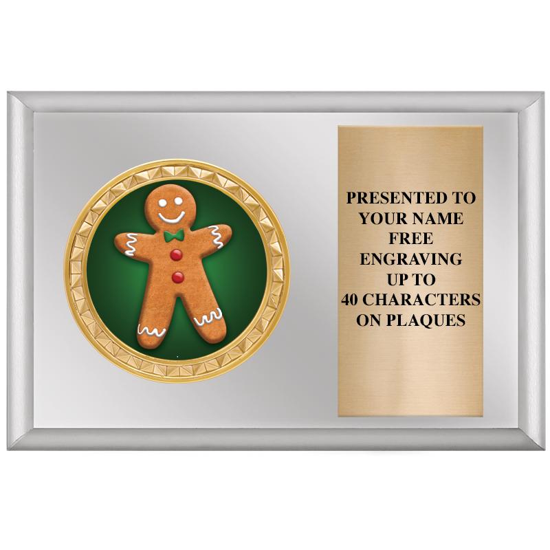 6" X 4" SILVER INSERT PLQ