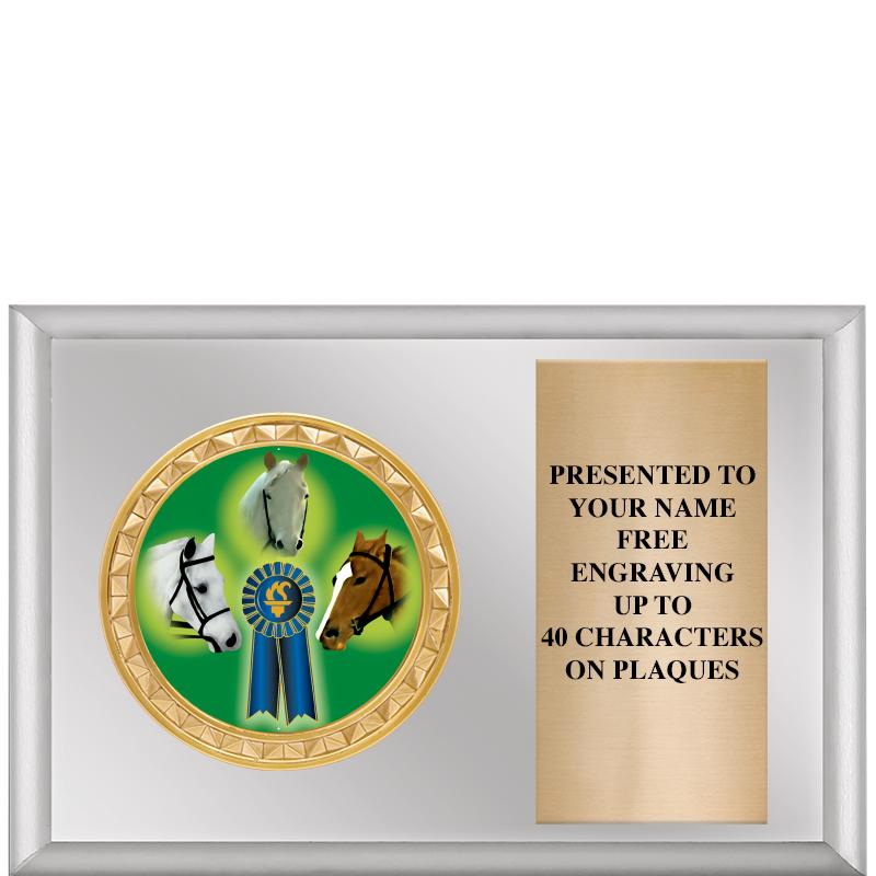 6" X 4" SILVER INSERT PLQ