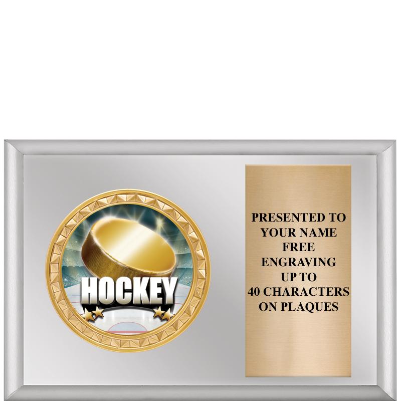 6" X 4" SILVER INSERT PLQ